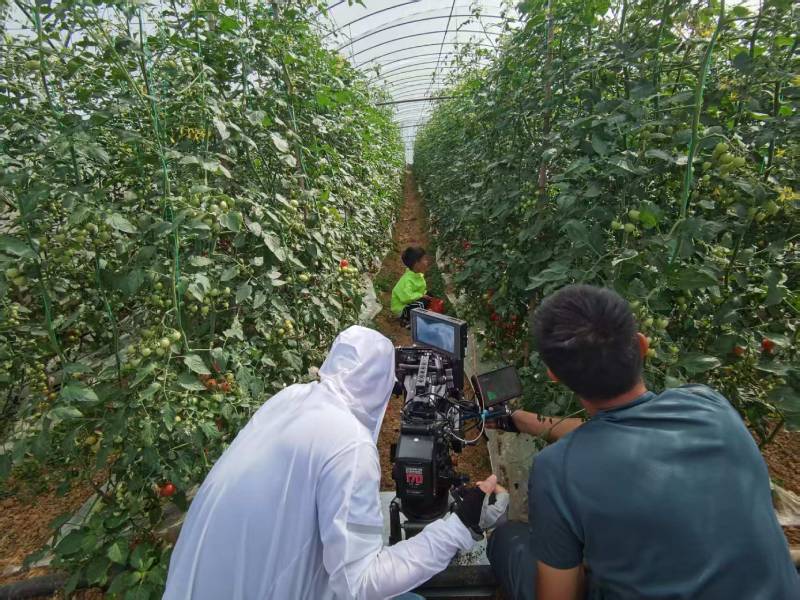 昌吉产品宣传视频拍摄公司进阶指南，助力品牌抢占传播高地